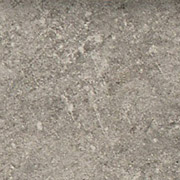 2323002-DAnticatto-s.jpg